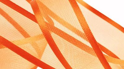 Anton Bouman geridderd